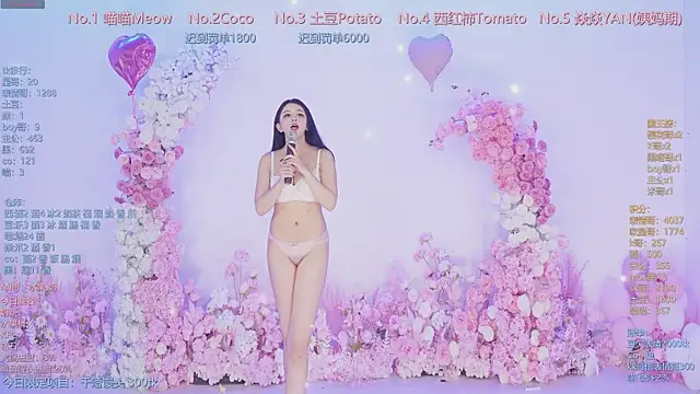 SSF-888 webcam