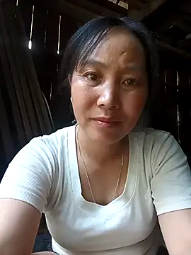 vesla-2k webcam