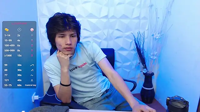 Stich_23 webcam