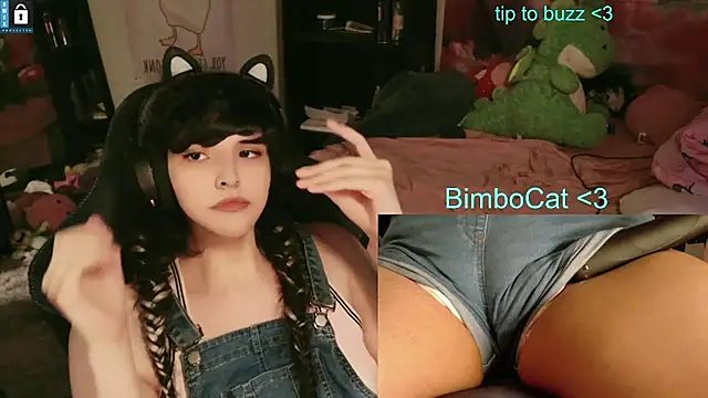 BimboCat webcam