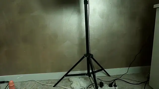 TinyCassy webcam