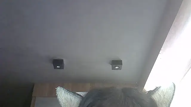 SkinnyKitten webcam