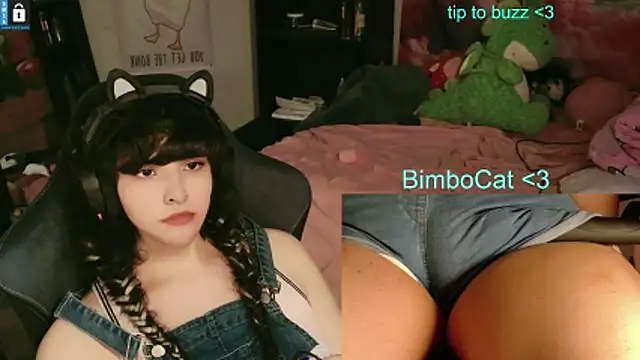 BimboCat webcam