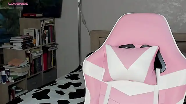 bbJ_one webcam