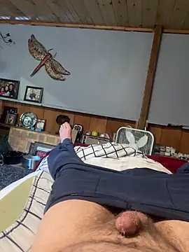 watchmesquirm webcam