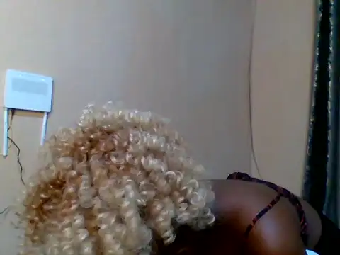 valley_pixy webcam