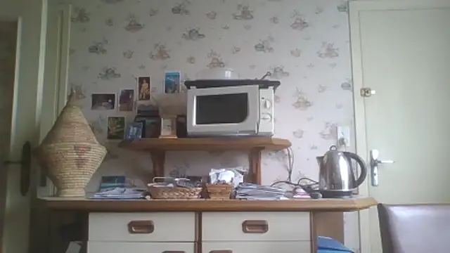 gegevincent5 webcam