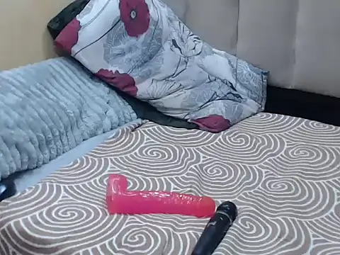 Tallatoya2026 webcam