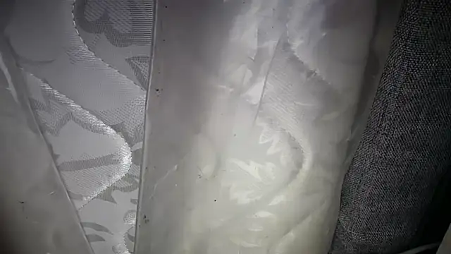 KungFuPanda001 webcam