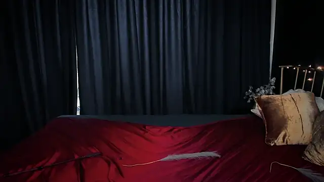 StellaDarkspace webcam