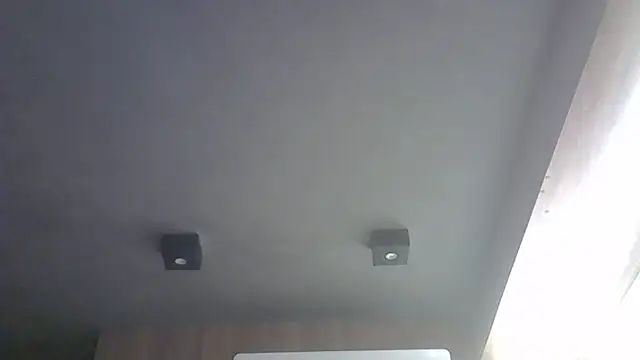 SkinnyKitten webcam