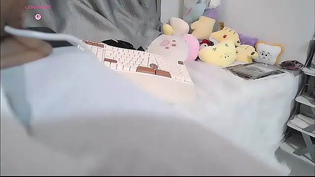 CN-Doudou webcam