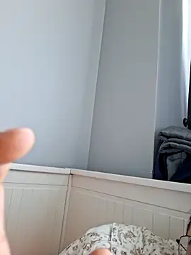 Obstacless webcam