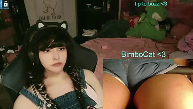 BimboCat webcam