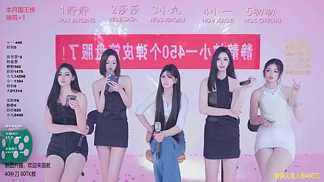 TY-002 webcam