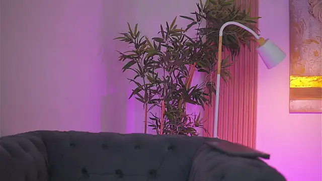 Aisha_Bee webcam
