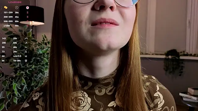ViGaffey webcam
