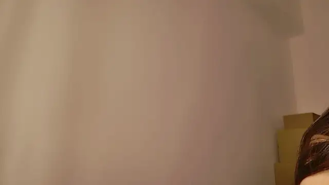 miRei-