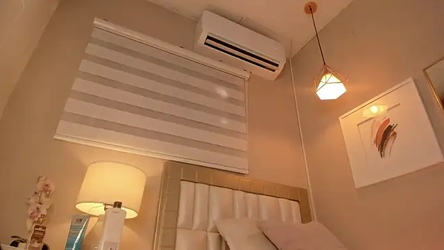electra_a webcam