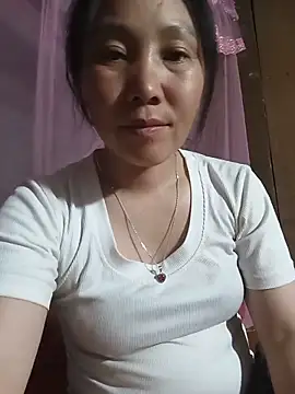 vesla-2k webcam