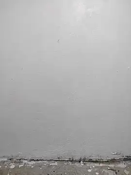 diem122 webcam