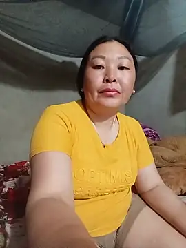mptan73 webcam
