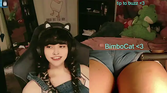 BimboCat webcam