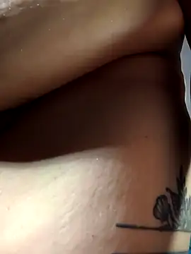haileystone webcam