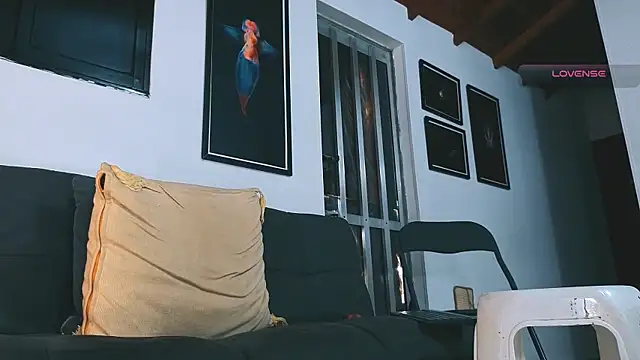 SilvaBranko webcam