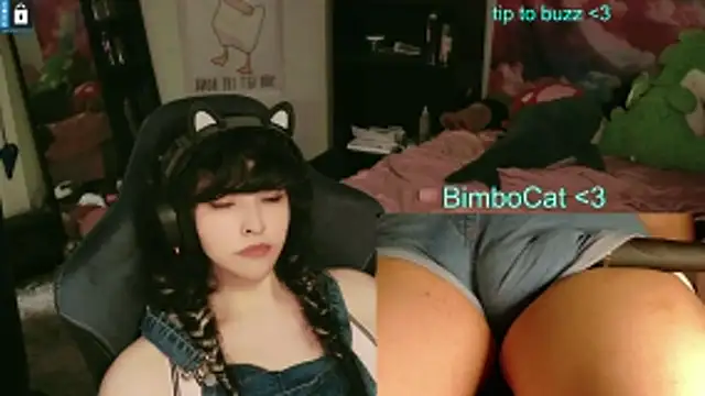 BimboCat webcam