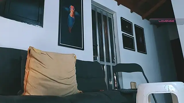 SilvaBranko webcam