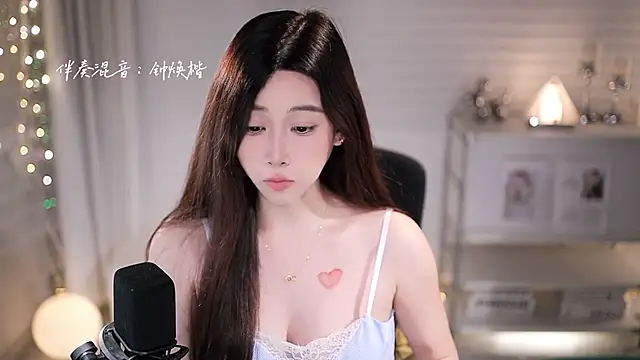SleepArtist webcam