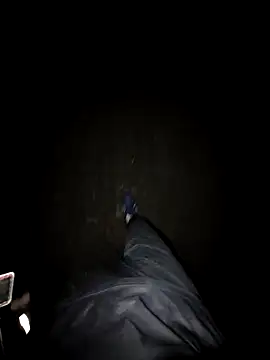 Japanesemask webcam
