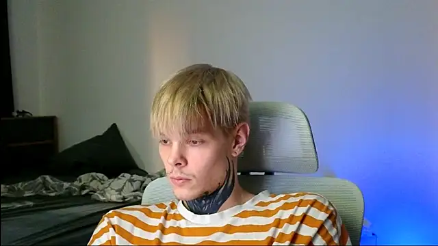 DENIS_HERE webcam
