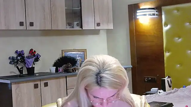 DomCaprisse webcam