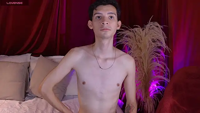 VicenteFerrer webcam