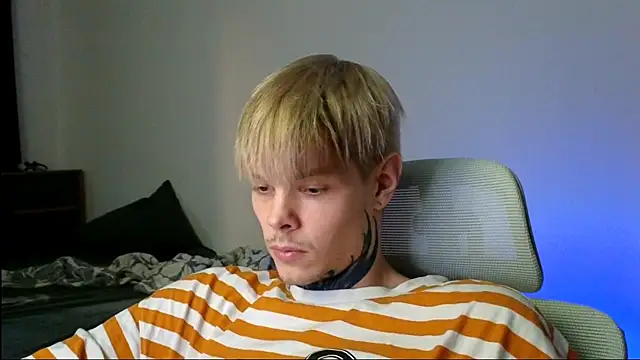 DENIS_HERE webcam