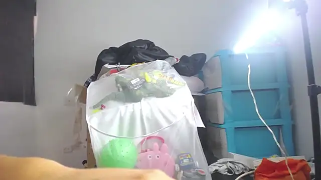 Leslie_Bussh_ webcam