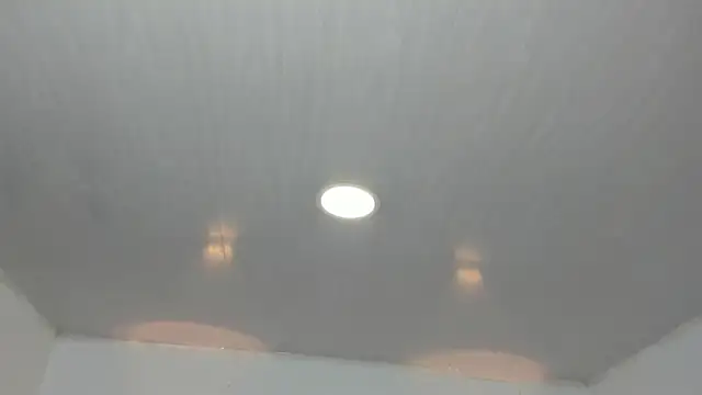 samxx_muscle webcam