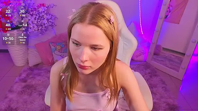 Brietdget webcam