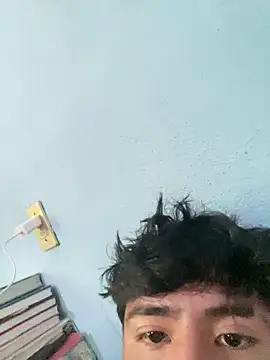 Sklledem webcam