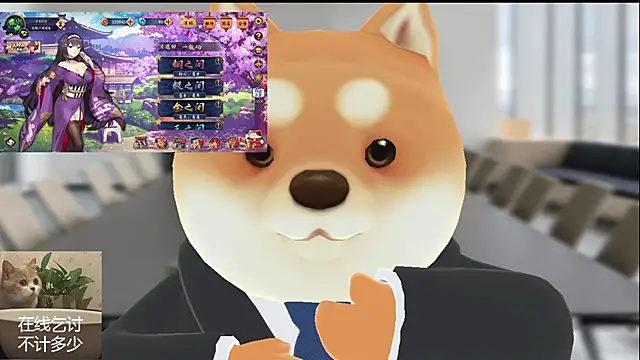 Ruuunn webcam