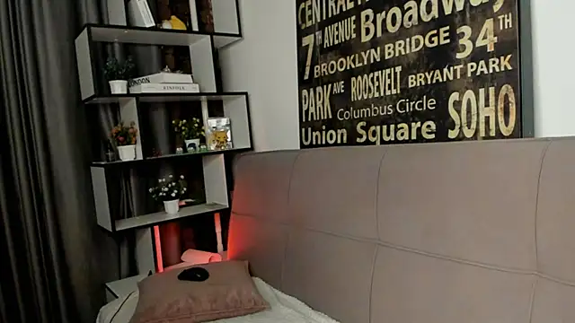 Shadow_blink webcam