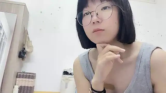 Belle-LL webcam