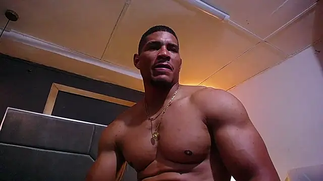 teddyfit19cm webcam