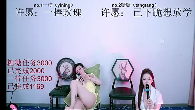 CCTW-100 webcam
