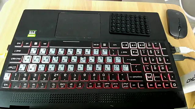 kitsune_luu webcam