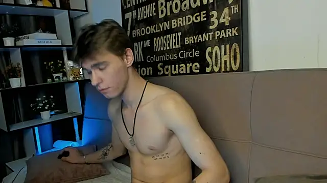 Shadow_blink webcam