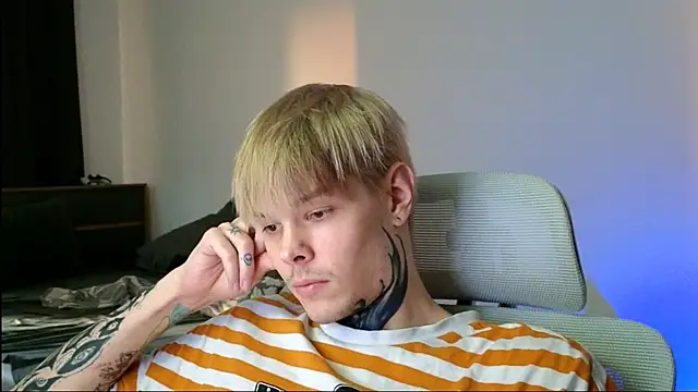 DENIS_HERE webcam