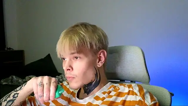 DENIS_HERE webcam